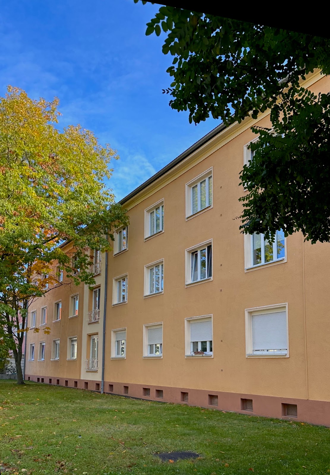 2-Raum Wohnung in Steinstraße 12b (Altstadt)